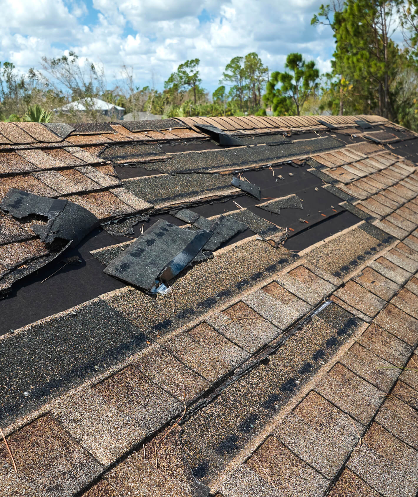 10 Signs That You Need A New Roof Jacksonville FL